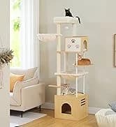 Cat Tunnel S Shape Cat Tunnels for Large and Indoor Cats 51”Long — collection imagery
