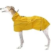 Dog Zip Up Raincoat with Reflective Buttons — collection imagery