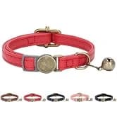 Leather Cat Collar with Bell Breakaway- Adjustable — collection imagery