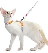 Cat Harness and Leash Set — Adjustable Pet Straps — collection imagery