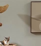 Cat Tunnel S Shape Cat Tunnels for Large and Indoor Cats 51”Long — collection imagery