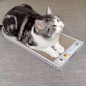 Cat Scratching Board 3 Pack – Reversible Cardboard Scratcher for Indoor Cats — collection imagery