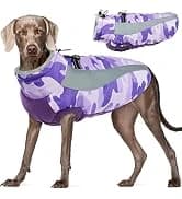 Dog Coat for Medium Dogs — Fleece Dog Winter Jacket with Harness — collection imagery