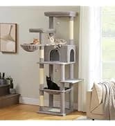 Cat Tunnel S Shape Cat Tunnels for Large and Indoor Cats 51”Long — collection imagery