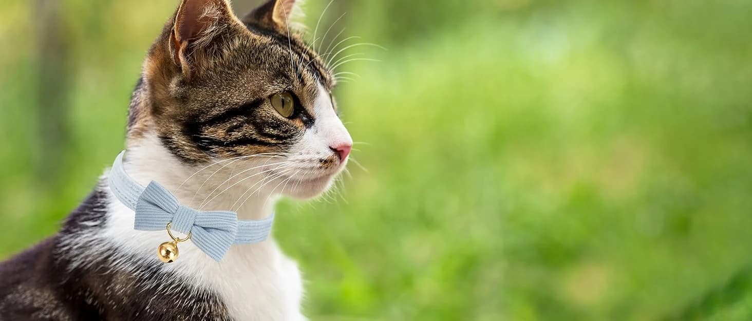 2 Pack Soft Corduroy Cat Collars with Bow Tie and Bell Adjustable Breakaway Kitten Bowtie Collar for Girl Boy Cats — collection imagery