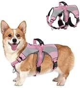 Cable Knit Turtleneck Dog Sweater with Leash Opening — collection imagery