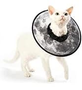Adjustable Cat Harness and Leash Set — Escape Proof — collection imagery