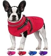 Dog Winter Coat with Harness — collection imagery