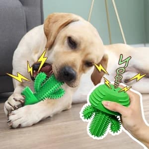 Cactus Dog Chew Toy for Aggressive Chewers — collection imagery