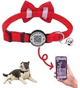 Leather Cat Collar with Bell Breakaway- Adjustable — collection imagery