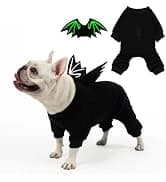 Cable Knit Turtleneck Dog Sweater with Leash Opening — collection imagery