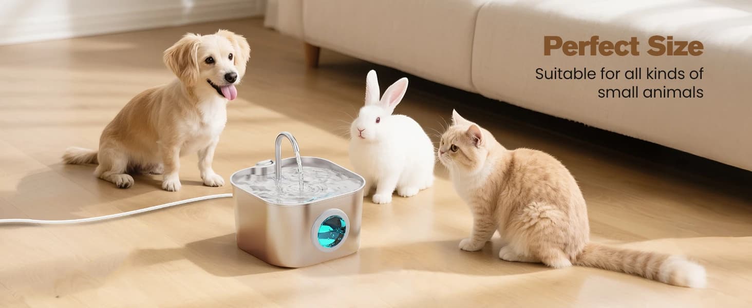 Stainless Steel Cat Water Fountain: Pet Fountains for Cats/Dog Indoor 74oz — product details