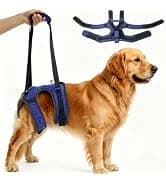 Dog Recovery Boot Wound Injured Paws Protector Dog Shoes — 2PCS — collection imagery