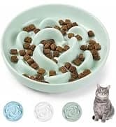 Elevated Slow Feeder Dog Bowl — collection imagery