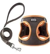 2 Pack Dog Leash — Heavy Duty Nylon Rope Pet Leashes — collection imagery