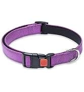 2 Pack Dog Leash — Heavy Duty Nylon Rope Pet Leashes — collection imagery