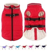 Dog Winter Coat with Harness — collection imagery