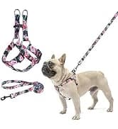 Dog Leash for Large Dogs — 5FT Heavy Duty Rope Leash Bulk — collection imagery