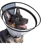 Dog Cone to Stop Licking — Clear Recovery Collar with Detachable Zipper — collection imagery