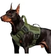 Tactical Dog Harness for Large Dogs — collection imagery