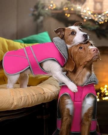 Dog Winter Coat with Harness — collection imagery