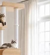 Cat Tunnel S Shape Cat Tunnels for Large and Indoor Cats 51”Long — collection imagery