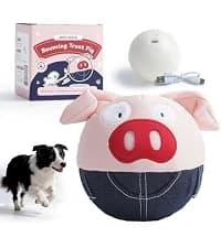 Dog Squeaky Toys — 5 PCS Crinkle Plush Dog Toys — collection imagery