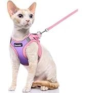 Cat Harness and Leash Set — Adjustable Pet Straps — collection imagery