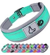 Reflective Dog Leash for Medium and Large Dogs — collection imagery