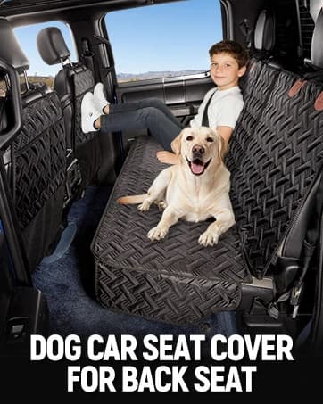 Hard Bottom Dog Car Seat Cover for Back Seat — collection imagery
