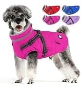 Dog Winter Coat with Harness — collection imagery