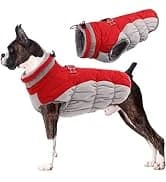 Dog Coat Warm Dog Winter Coat Waterproof Dogs Jacket with Harness — collection imagery