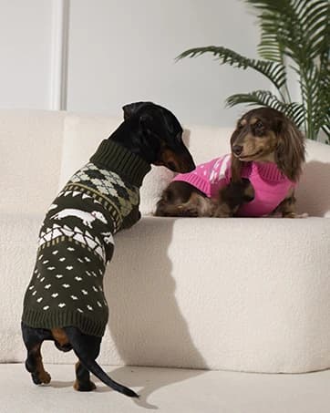 Dog Coat Warm Dog Winter Coat Waterproof Dogs Jacket with Harness — collection imagery