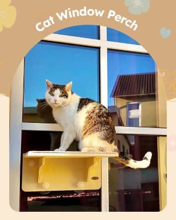 2-in-1 Cat Window Perch and Wall Shelves — collection imagery
