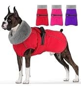Dog Winter Coat with Harness — collection imagery