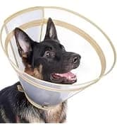 Dog Cone to Stop Licking — Clear Recovery Collar with Detachable Zipper — collection imagery