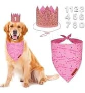 Dog Tuxedo Bandana — Wedding Birthday Dog Bow Tie — collection imagery