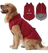 Dog Coat Warm Dog Winter Coat Waterproof Dogs Jacket with Harness — collection imagery