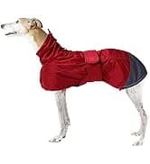 Dog Zip Up Raincoat with Reflective Buttons — collection imagery