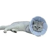 Adjustable Dog and Cat Cone — Soft Recovery Cat Cone Collar — collection imagery