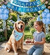 Dog Birthday Party Supplies — Dog Birthday Bandana — collection imagery