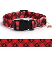 Reflective Dog Collar — Puppy Collar with Buckle Adjustable — collection imagery
