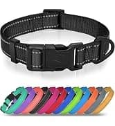 Reflective Dog Leash for Medium and Large Dogs — collection imagery