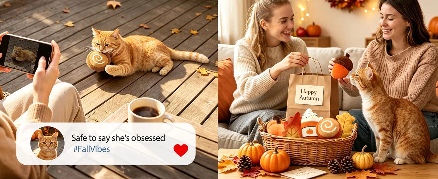 Plush Fall Catnip Toys for Indoor Cats 6 Pack — Pumpkin Shape — product details