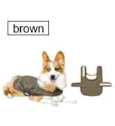 Dog Winter Jacket — Warm Windproof Dog Sweaters for Small Dogs — collection imagery