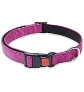 2 Pack Dog Leash — Heavy Duty Nylon Rope Pet Leashes — collection imagery