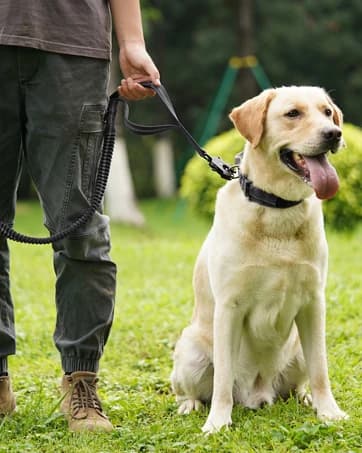 Tactical Dog Collar for Large Dogs — Traffic Control Handle — collection imagery
