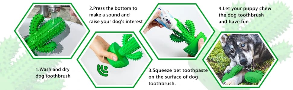 Cactus Dog Chew Toy for Aggressive Chewers — collection imagery