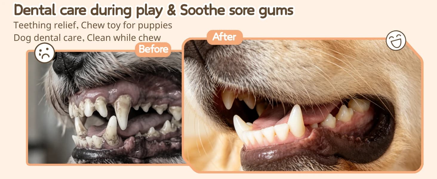 5 Pack Plush Squeaky Dog Toys for Small Dog — product details