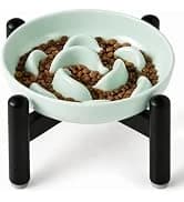 Elevated Slow Feeder Dog Bowl — collection imagery